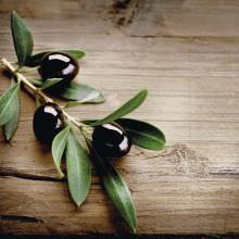 Servietten - Oliven auf Holz