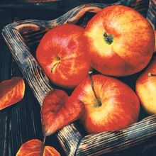 Napkins - Apple time