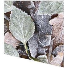 Servietten - Blätter im Winter - 2