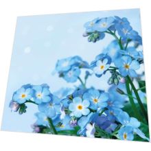 Napkins - Blue Dream