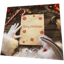 Napkins - Letter from Santa