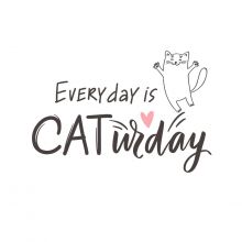 Napkins - Caturday