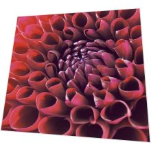 Napkins - Dahlia delight