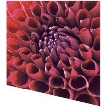 Napkins - Dahlia delight