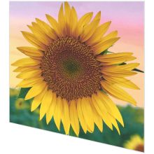 Servietten - Eine Sonnenblume - 2