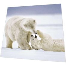 Servietten - Eisbären kuscheln - 3