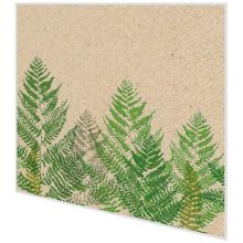 Servietten - Farn - 100% Recycling - 2