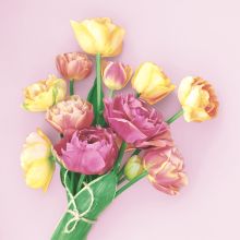 Servietten - Frühlingsbote - 1