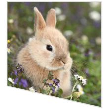 Napkins - Bunny in field