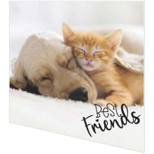 Servietten - Hund und Katze - 2