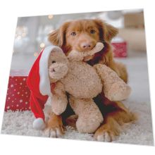 Servietten - Hund und Teddy - 3