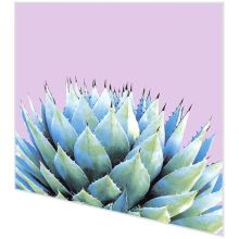 Napkins - Cactus