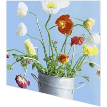 Servietten - Mohnblumen - 2
