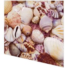 Servietten - Muscheln - 2