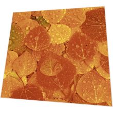 Cocktail napkins - Rainy Leaves