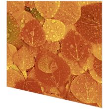 Cocktail napkins - Rainy Leaves