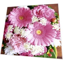 Napkins - Pink Gerbera