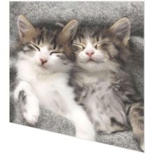Servietten - Schlafende Katzen - 2