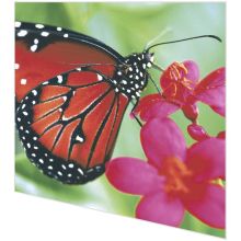 Napkins - Spring butterfly