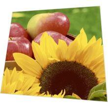 Servietten - Sonnenblumen und Äpfel - 3