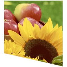 Servietten - Sonnenblumen und Äpfel - 2