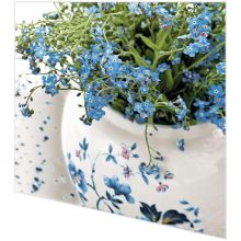 Napkins - Forget Me Not