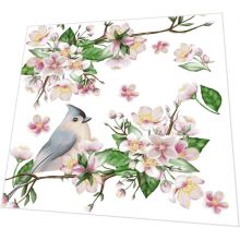 Napkins - Bird Lyrics