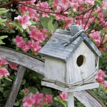 Napkins - Spring Birdhouse