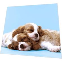 Napkins - Puppy Love