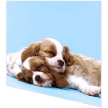 Napkins - Puppy Love