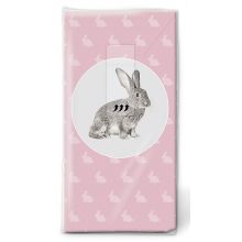 Handkerchiefs - Portrait of rabbit